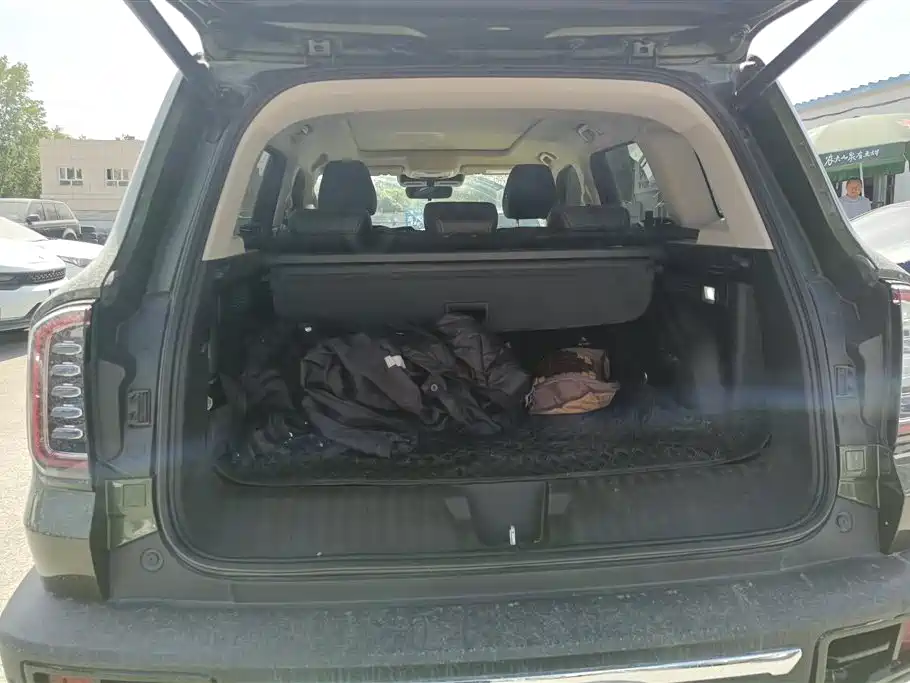 Haval Big Dog 2021 2.0T DCT 4WD Chinese Rural Dog Edition фото 4