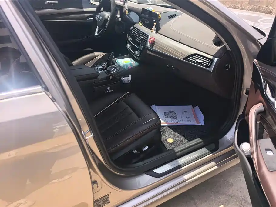 BMW 5 Series New Energy 2020 530Le Luxury Package фото 8