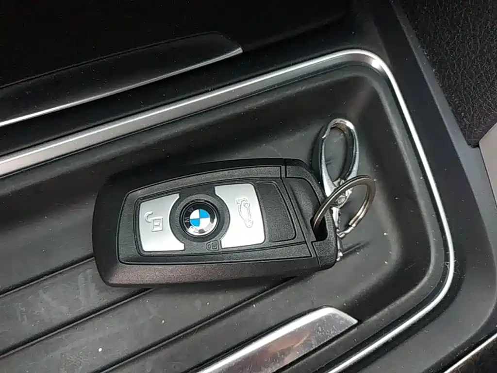 BMW 3 Series 2015 316Li Fashion фото 9
