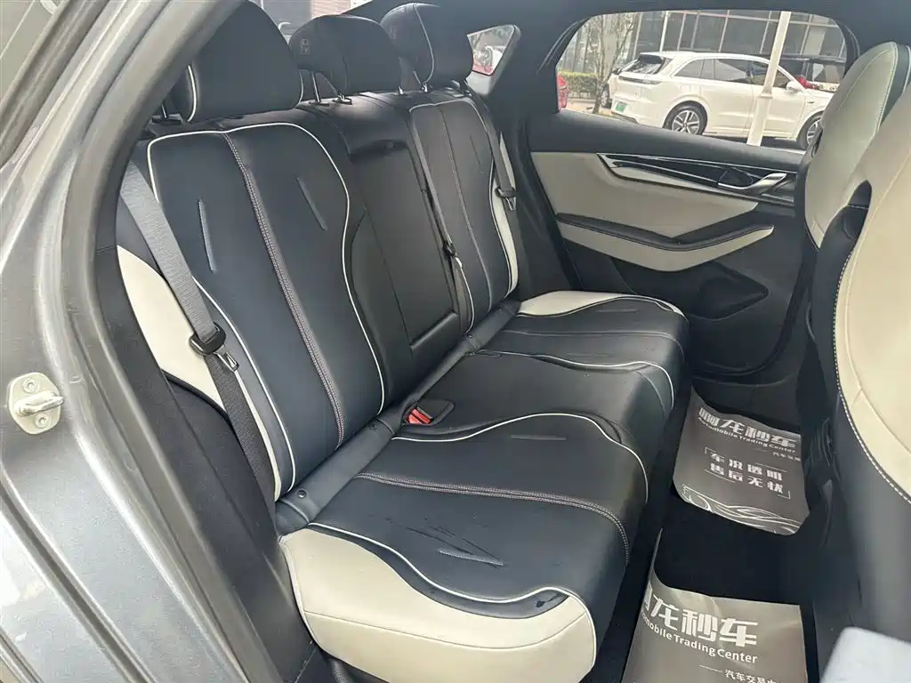 BYD Qin PLUS 2021 DM-i 55KM Flagship фото 8