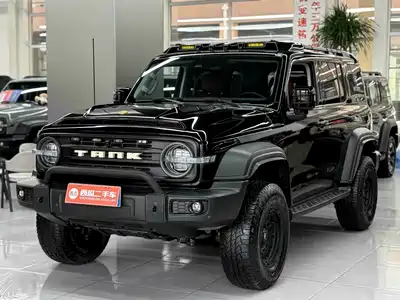 Tank 300