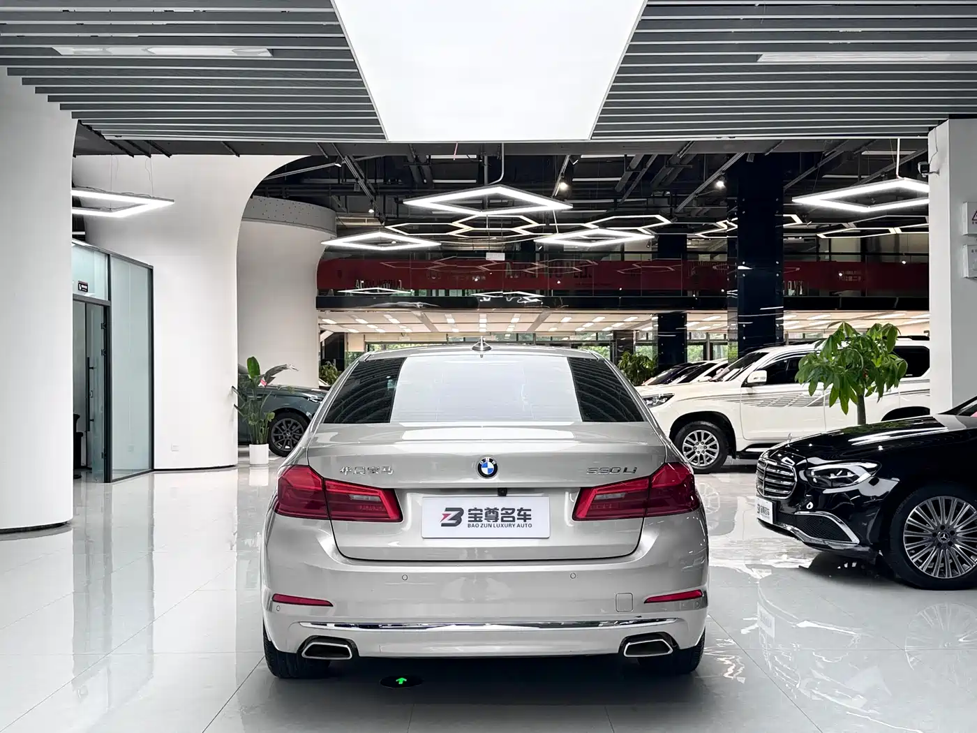 BMW 5 Series 2020 530Li Leading Luxury Package фото 17