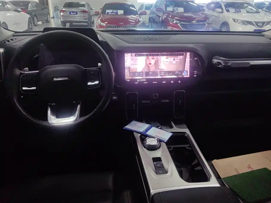 Haval Big Dog 2024 1.5T DCT Border Collie Edition фото 12