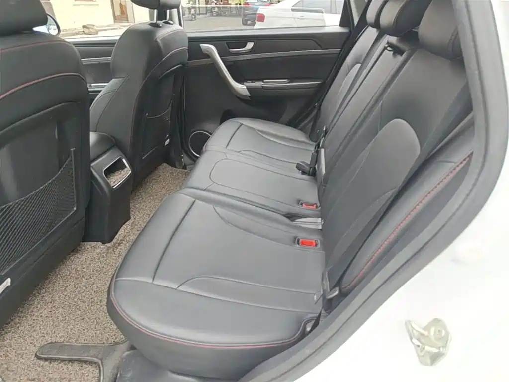 Haval H6 2017 Blue Label Sport 1.5T Auto 2WD Luxury фото 17