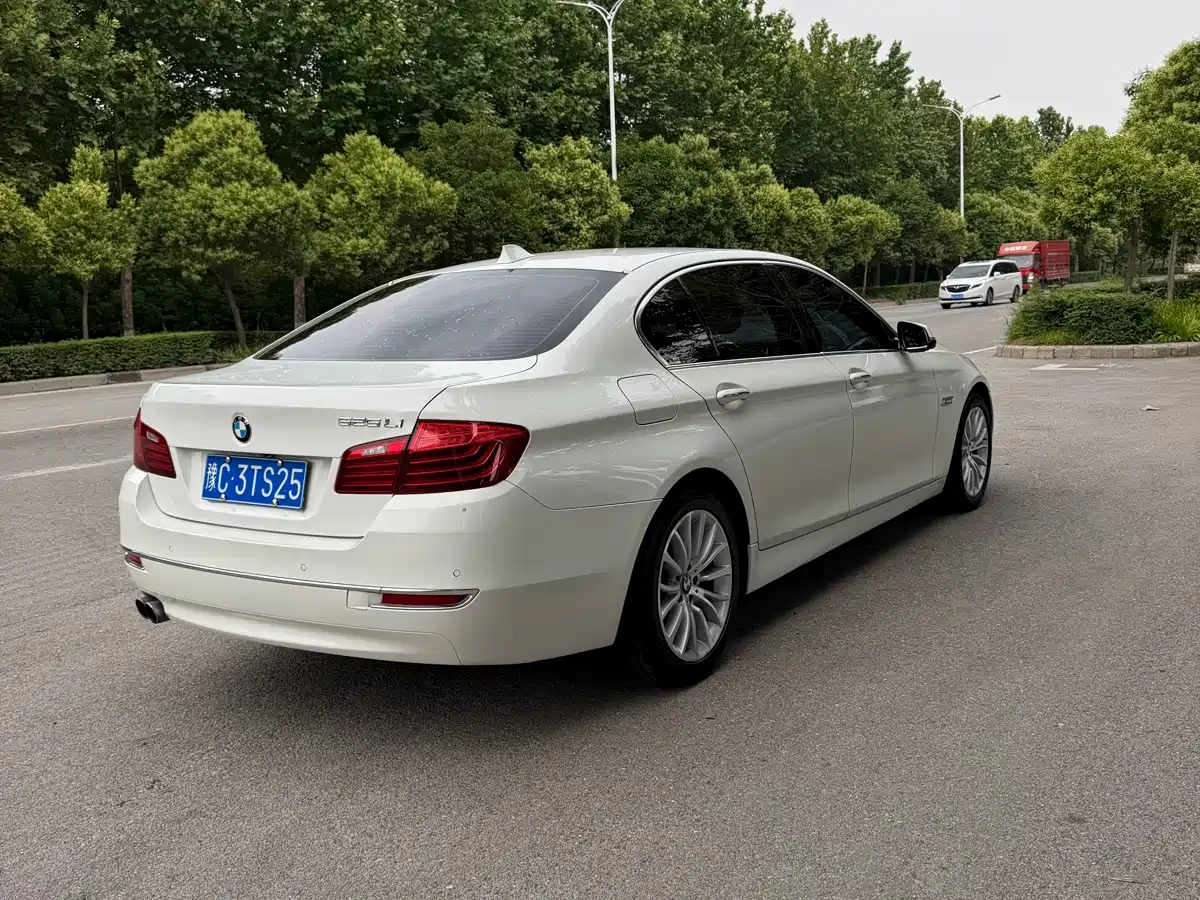 BMW 5 Series 2014 525Li Luxury Design Package фото 10