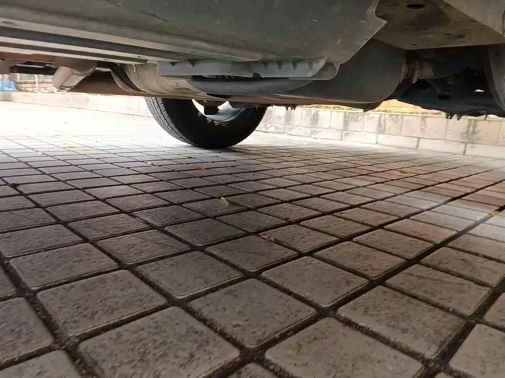 Haval Big Dog 2021 1.5T DCT 2WD Husky Edition фото 19
