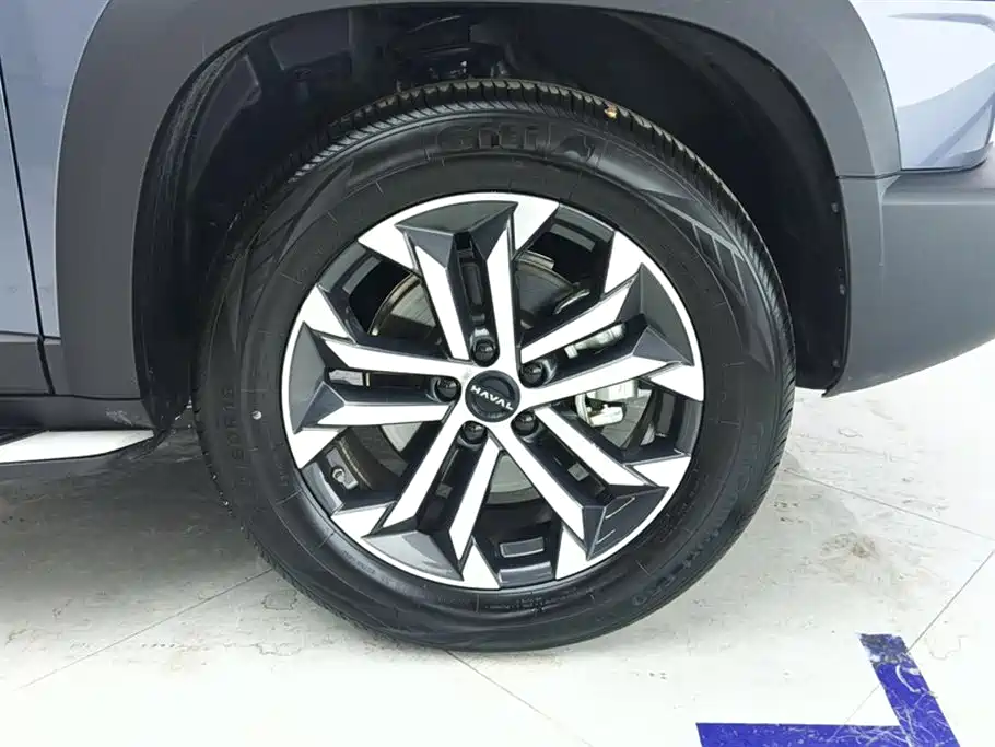 Haval Big Dog 2024 1.5T DCT Border Collie Edition фото 6