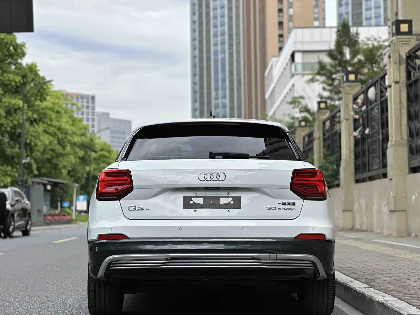 Audi Q2L e-tron 2019 Q2L e-tron Pure Electric Smart Cool Edition фото 5