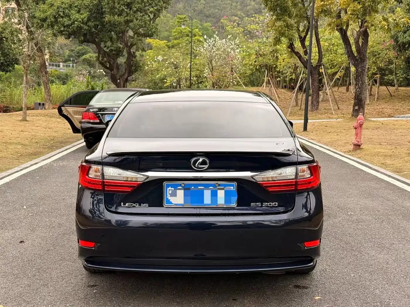 Lexus ES 2015 200 Elite Edition фото 8