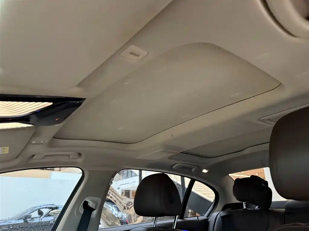 BMW 5 Series 2021 530Li Leading Luxury Package фото 5