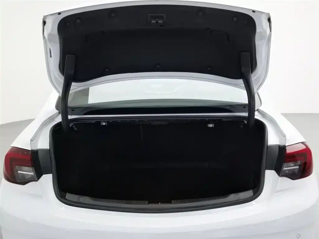 Buick Regal 2017 20T Elite Type фото 16