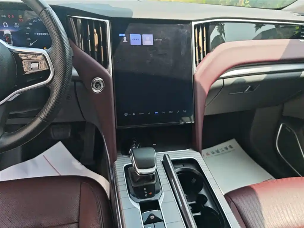 Hongqi HS7 PHEV 2024 2.0T PHEV 4WD Flagship Edition 6-seater фото 13