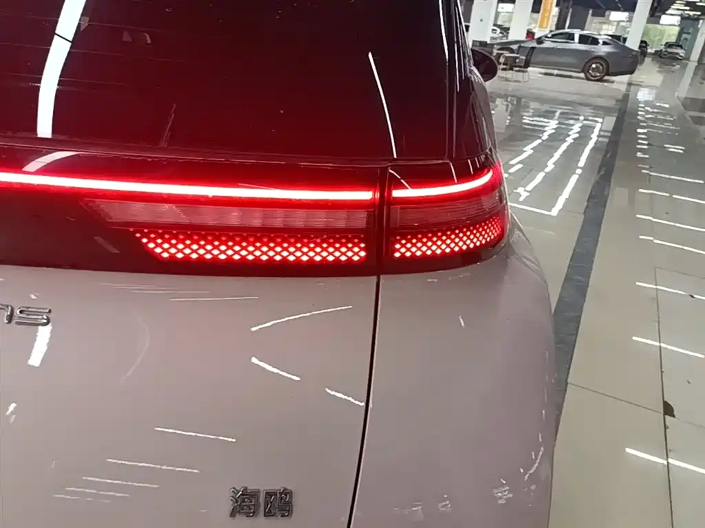 BYD Seagull 2023 Freedom Edition фото 8