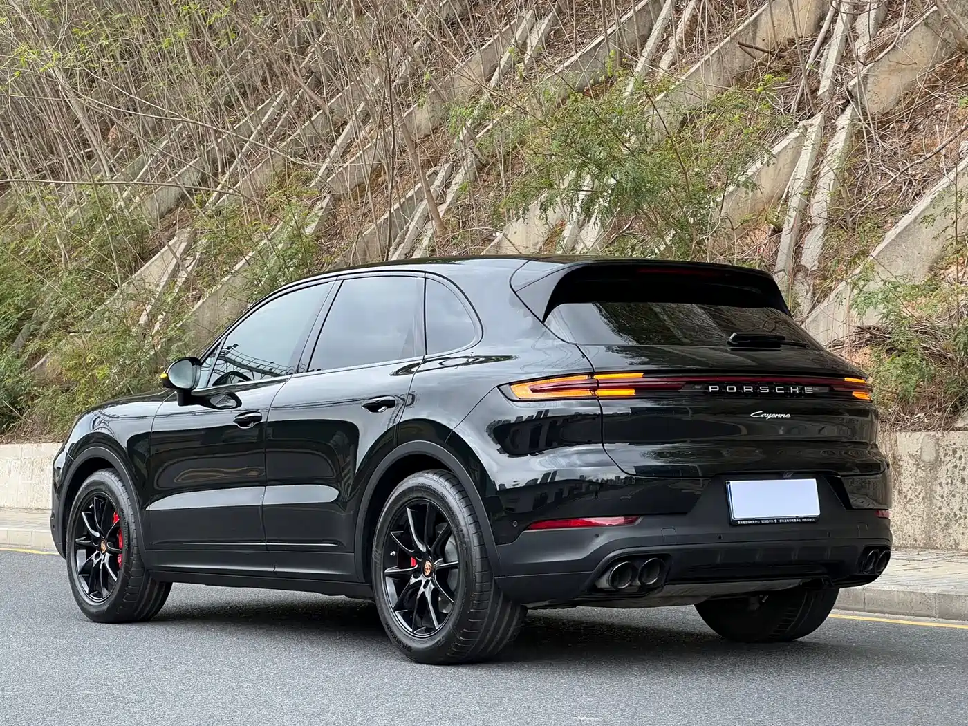 Porsche Cayenne 2024 Cayenne 3.0T фото 24