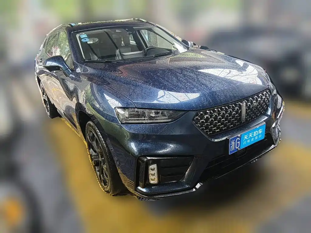 WEY VV7 2020 2020 Model 2.0T Flagship