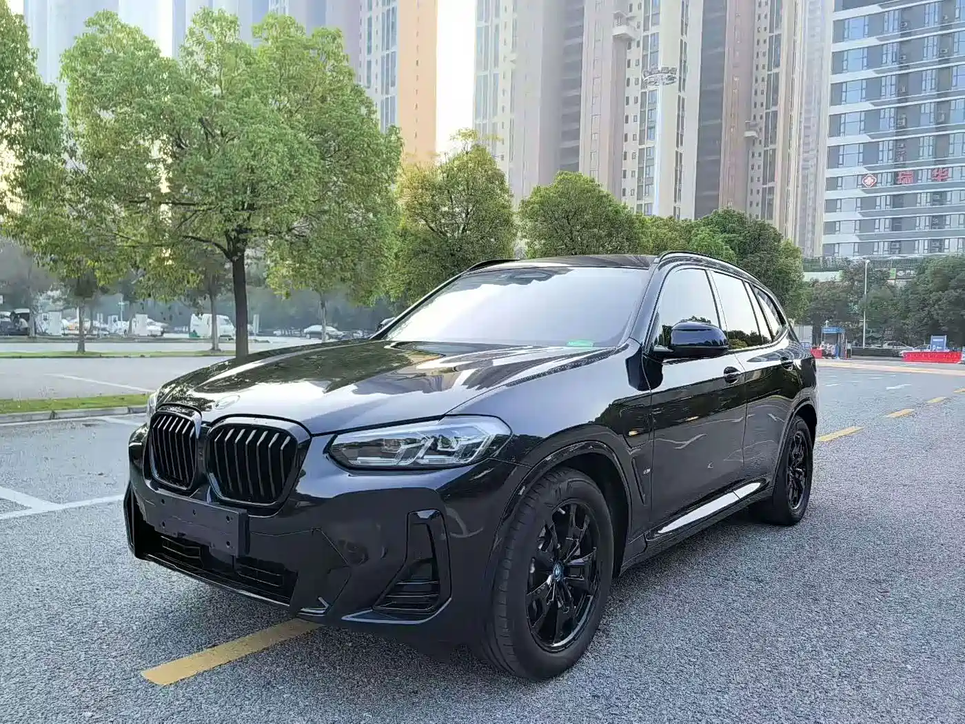 BMW iX3 2024 2023 Leading Type