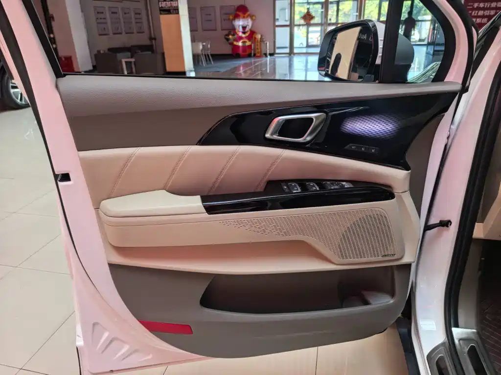 Kia Carnival 2022 2021 2.0T Flagship Edition