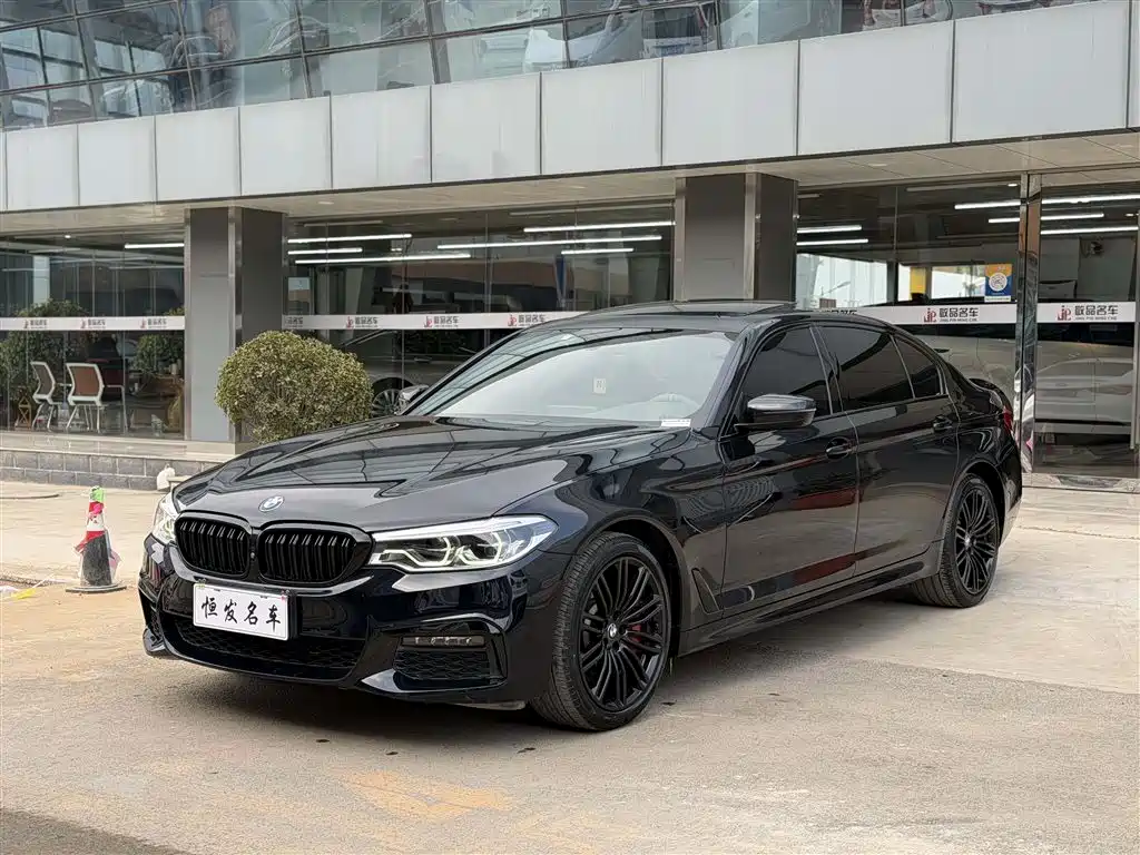 BMW 5 Series 2019 530Li Premium M Sport Package фото 2