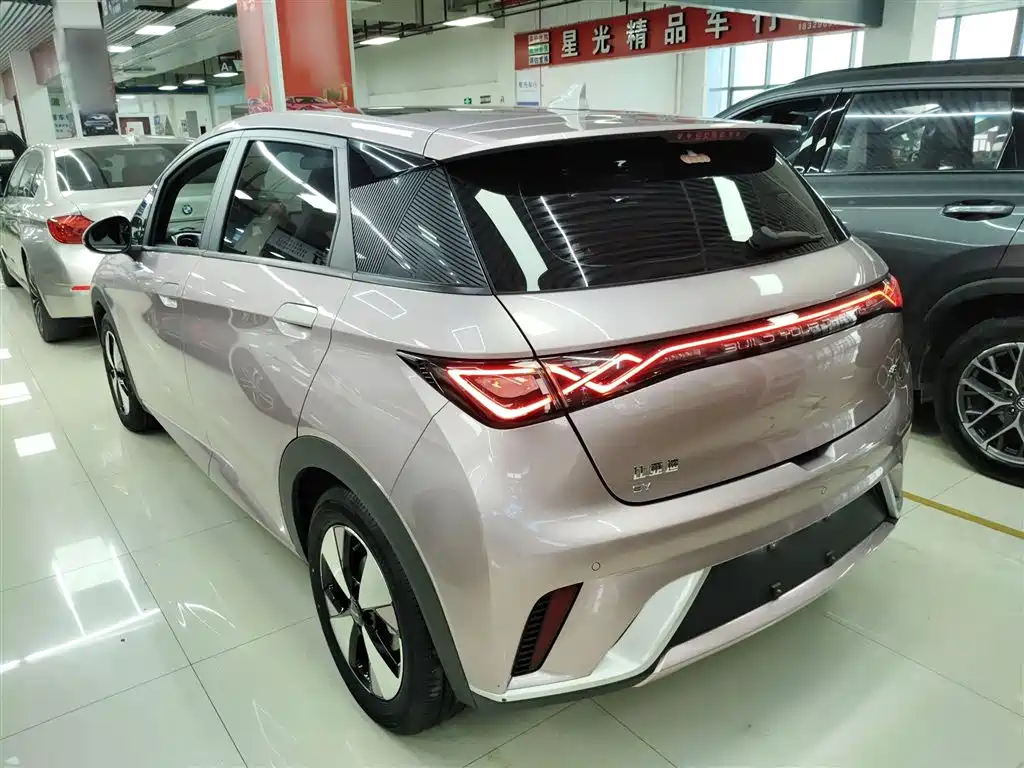 BYD Dolphin 2023 420km Fashion Edition фото 5