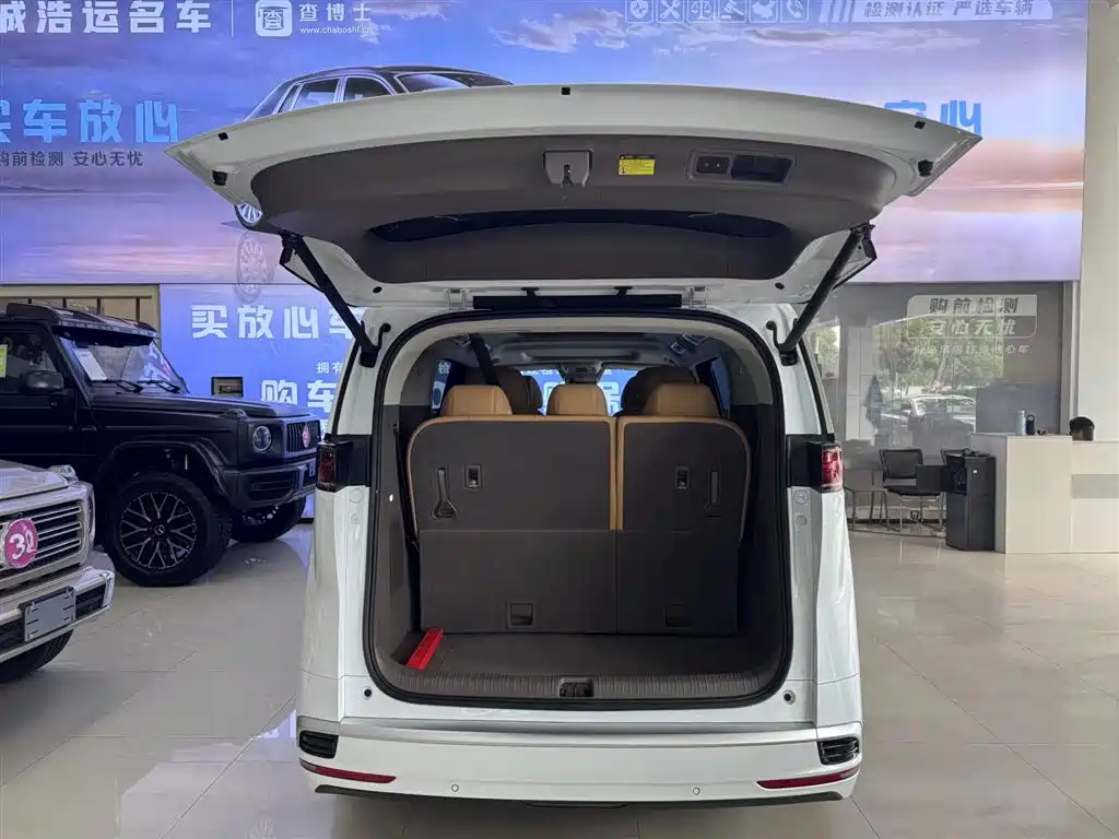 DENZA D9