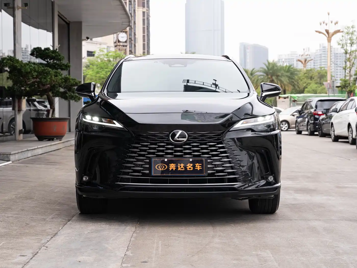 LEXUS RX