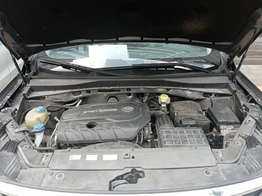 GAC Trumpchi Trumpchi GS5 2019 270T Automatic Luxury фото 10