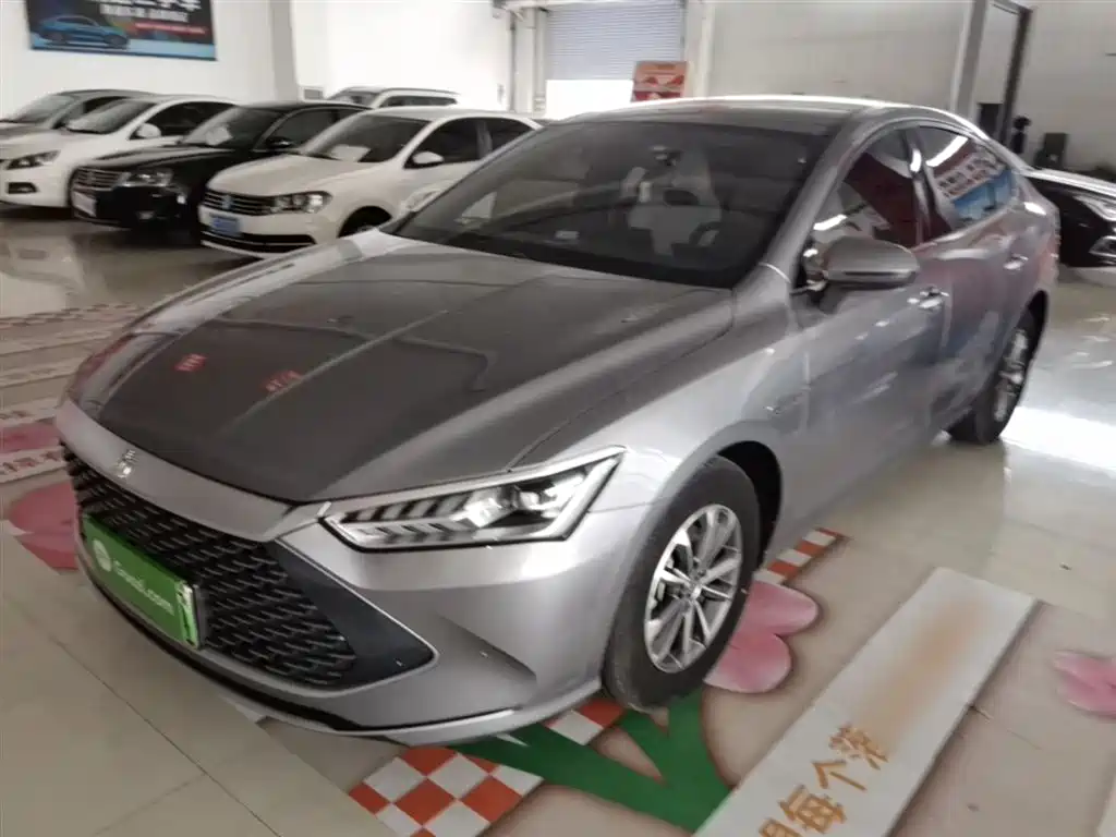 BYD Qin PLUS 2024 Glory Edition DM-i 55KM Leading