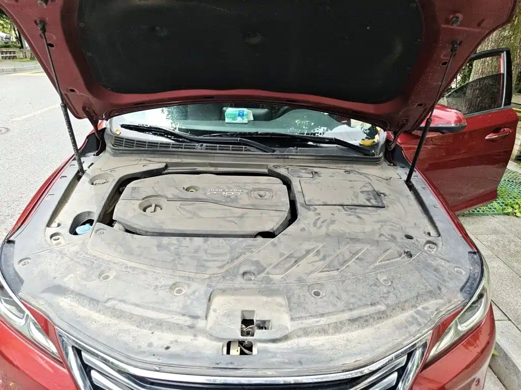 Changan Raeton CC 2018 2018 1.5T Auto Premium Class China V