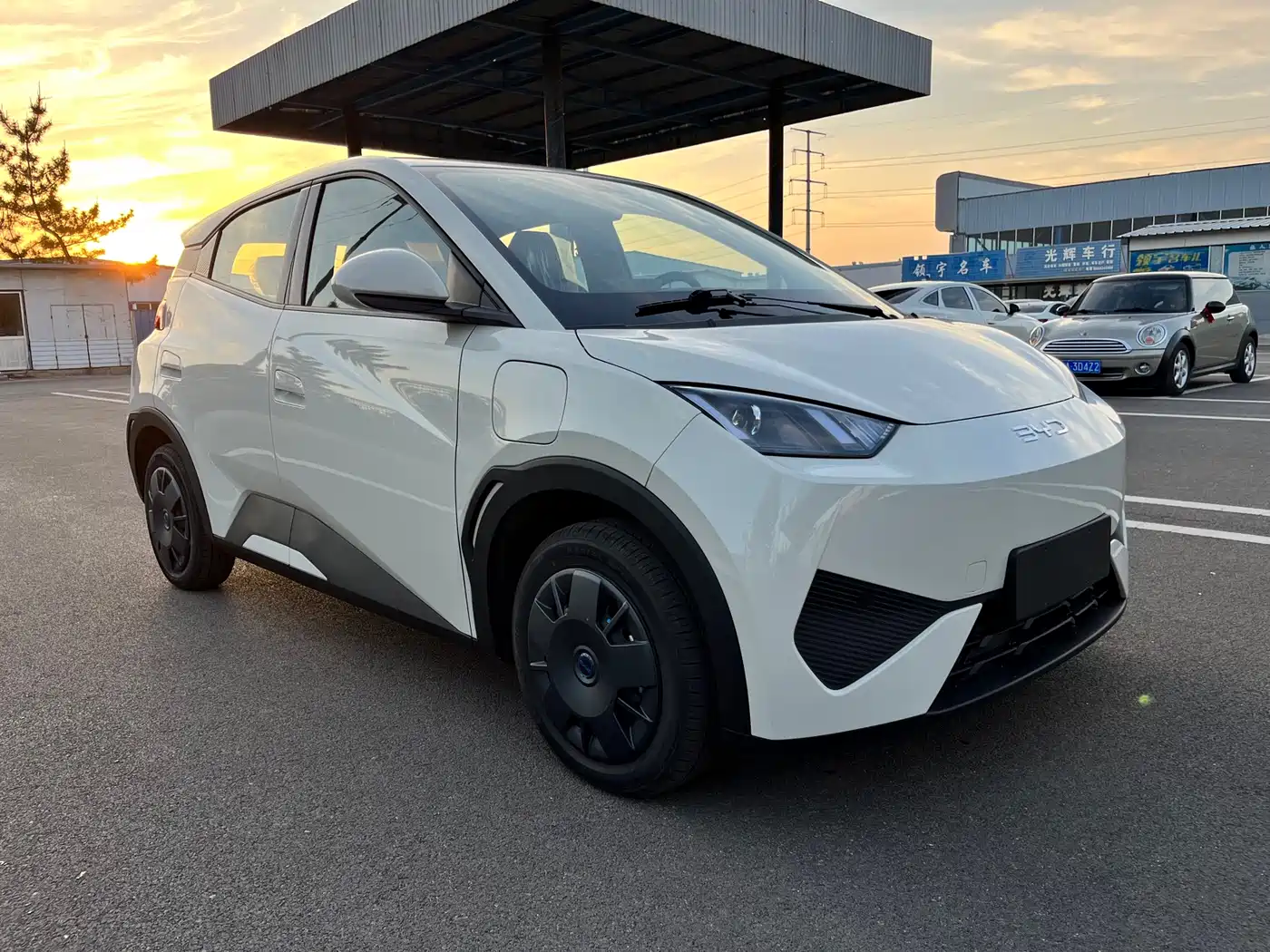 BYD Seagull 2025 Smart Drive Edition 305km Vitality Version фото 3