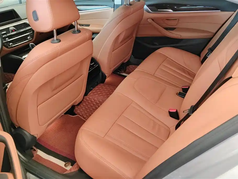 BMW 5 Series 2018 528Li Launch Special Edition фото 11