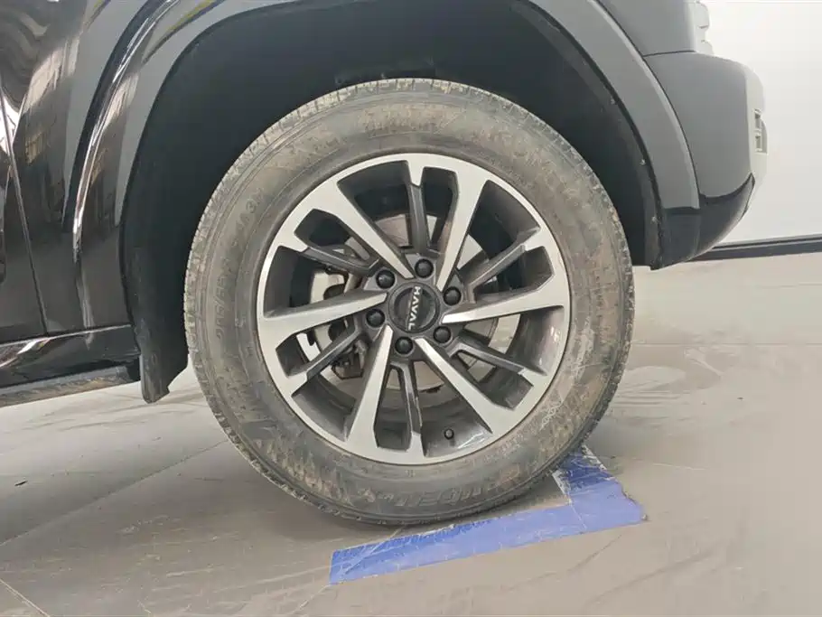 Haval H9 2024 2.0T Gasoline AWD Extreme Edition фото 6