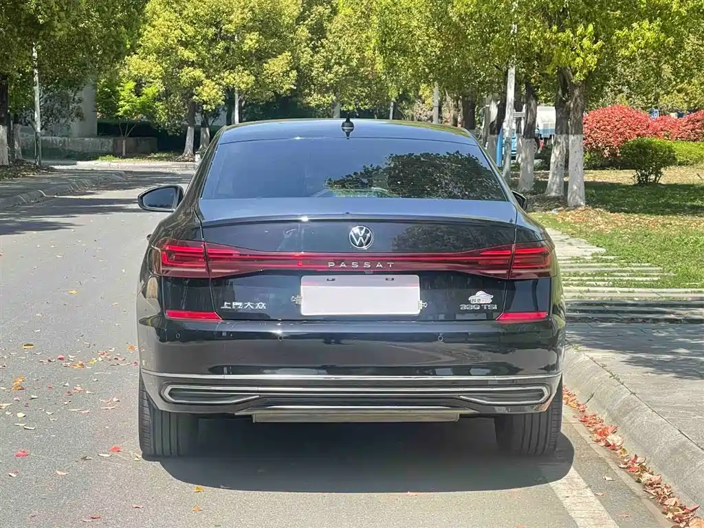 Volkswagen Passat 2022 330TSI Starlight Luxury Edition фото 6