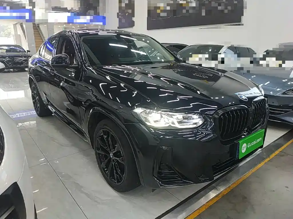 BMW X4 2023 2022 xDrive 30i M Sport Package