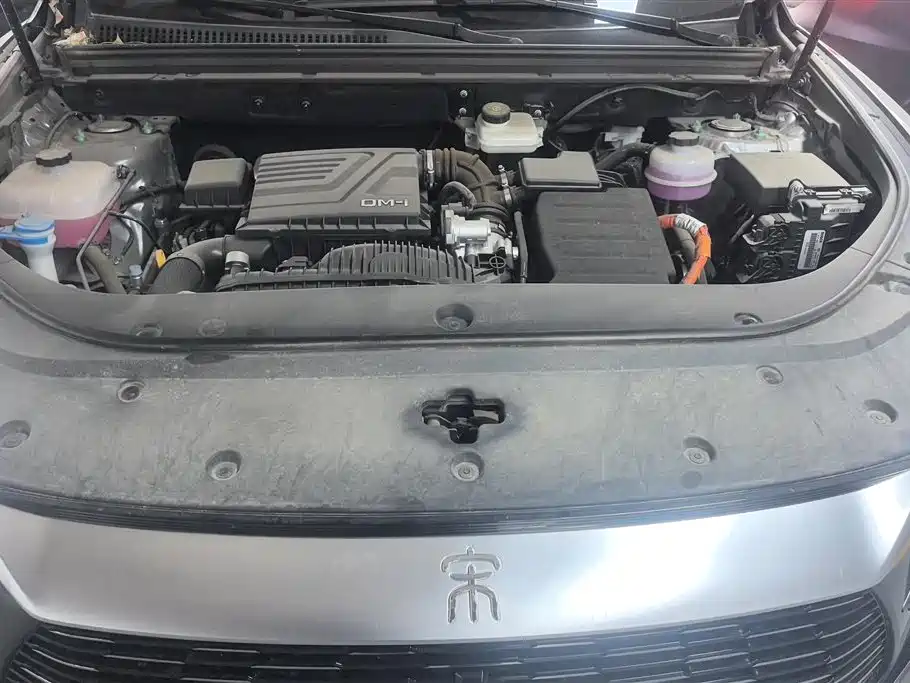 BYD SONGJIANG NEW ENERGY