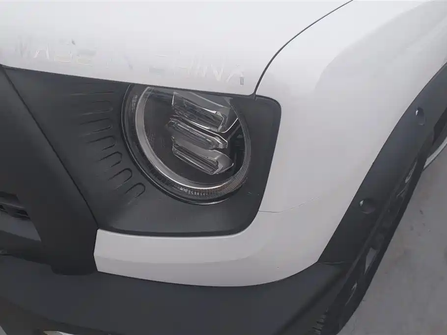 Haval Big Dog 2022 Model 2.0T DCT AWD Howling Celestial Dog Hunting Edition фото 5