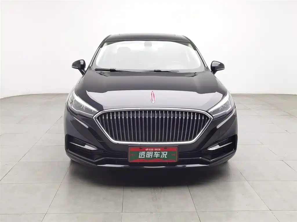 Hongqi H5 2019 30TD Style Edition фото 3