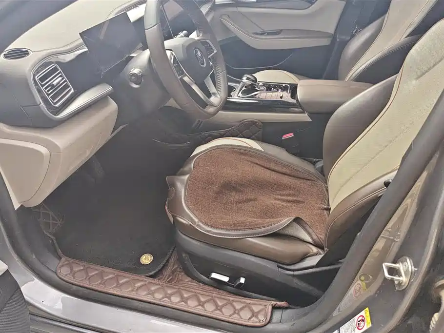 BYD Qin PLUS 2023 Champion Edition DM-i 55KM Surpassing фото 9
