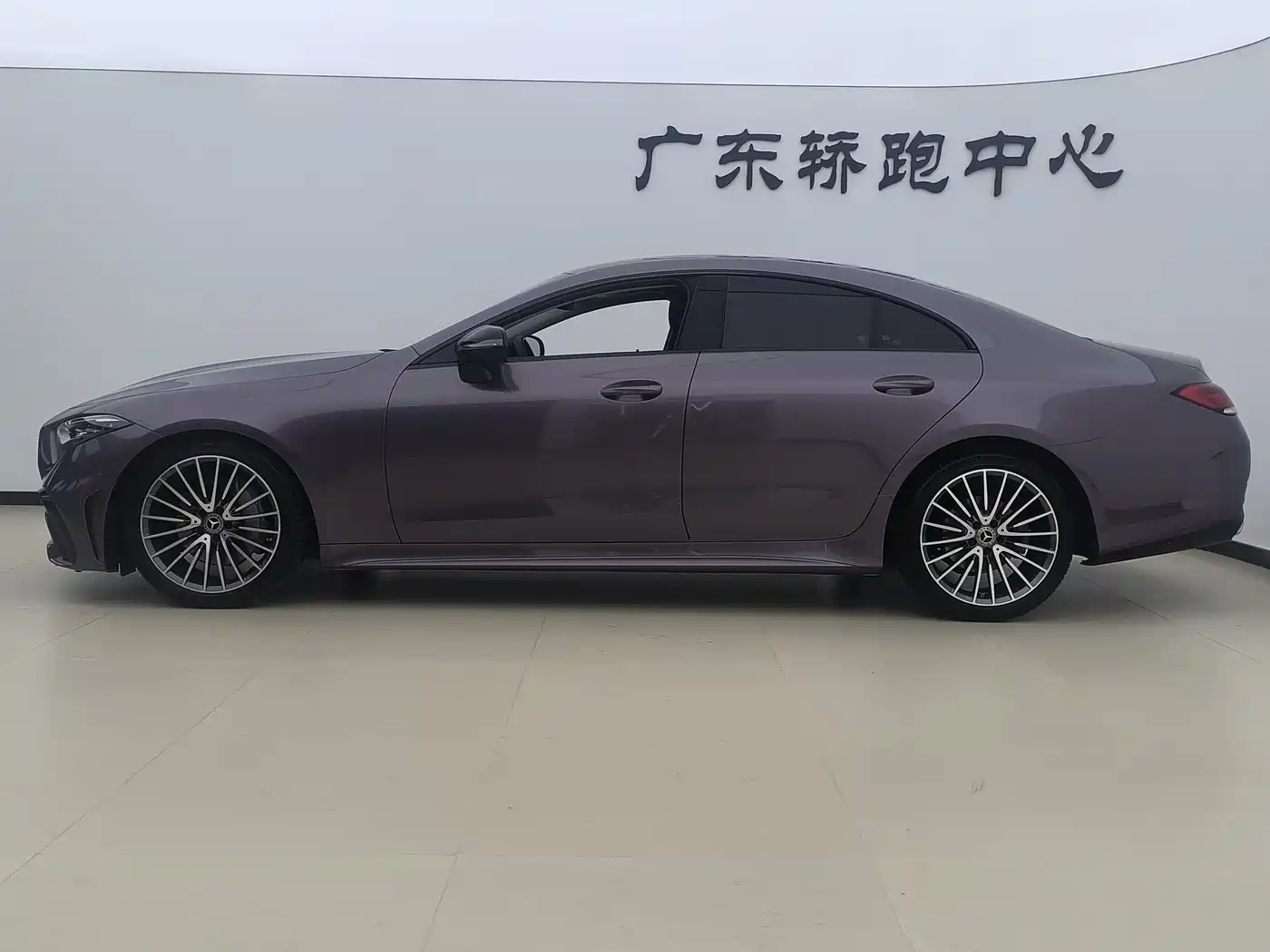 Mercedes-Benz CLS 2022 CLS 300 Dynamic фото 12