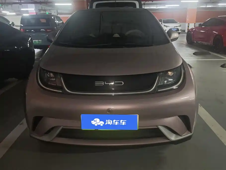 BYD Dolphin 2021 Model 405km Fashion Edition фото 2