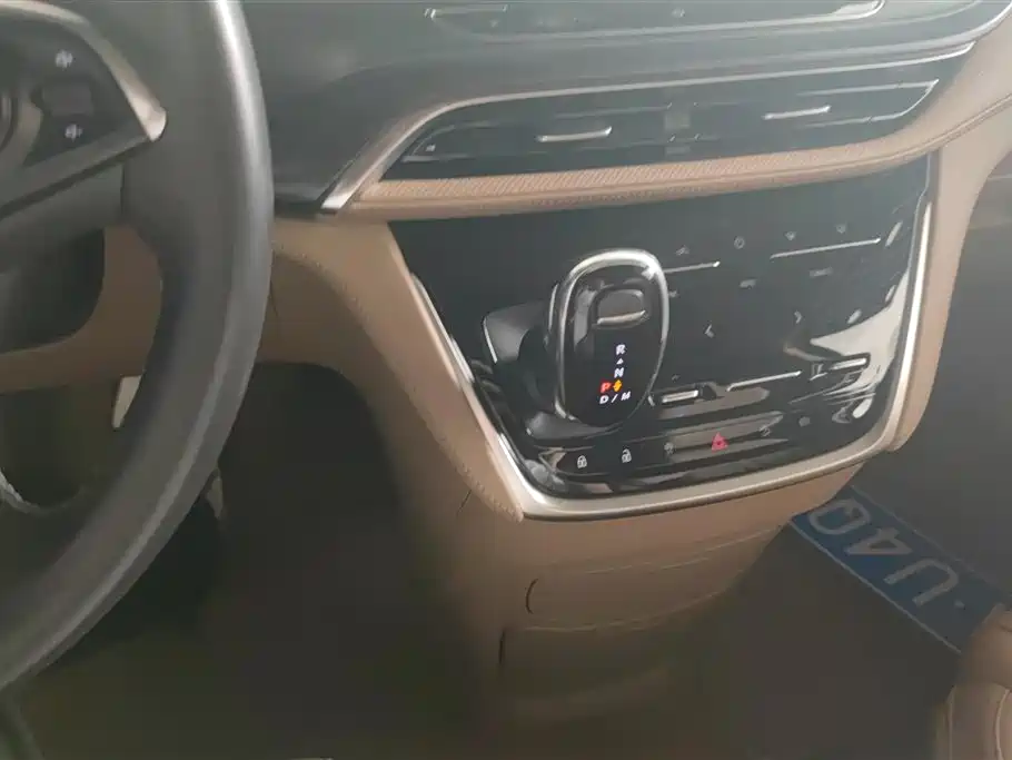 Buick GL8 2021 ES Landlord 653T Premium фото 16