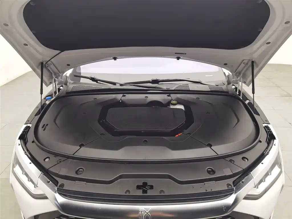 BYD Han 2020 DM AWD Performance Luxury Edition фото 6