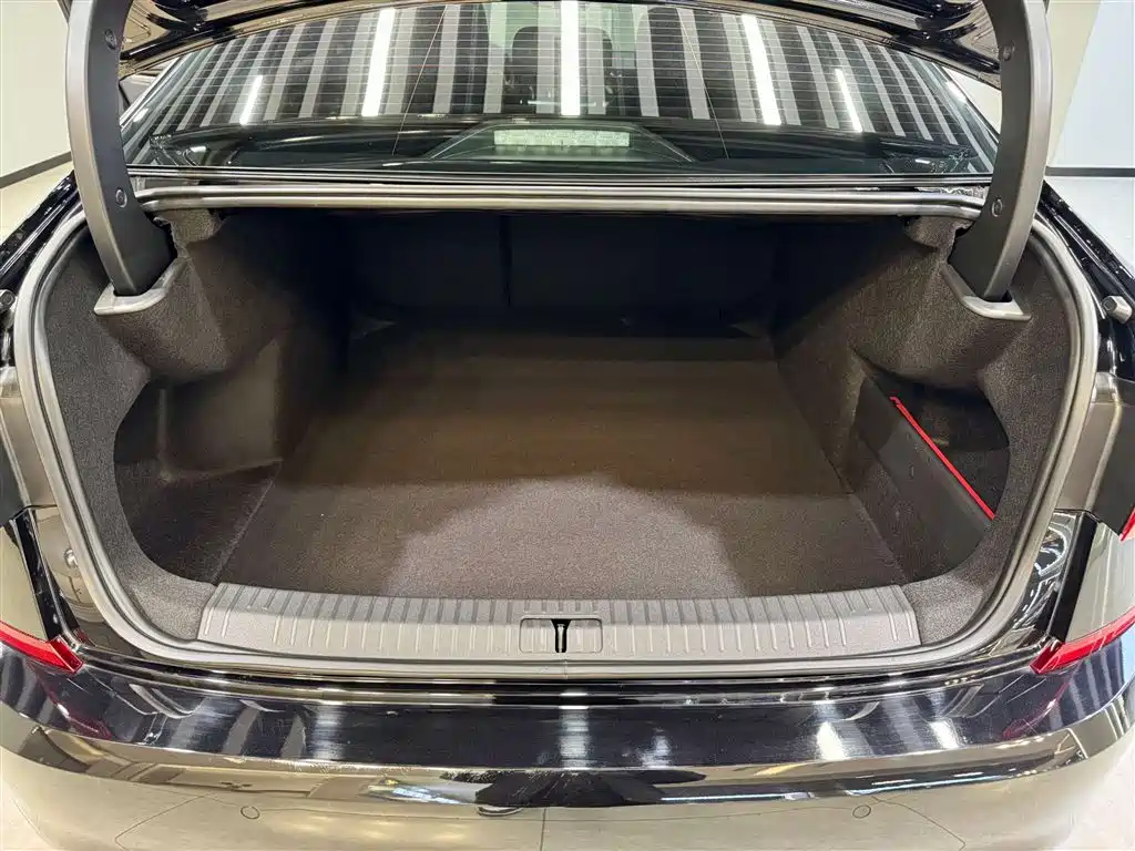 Volkswagen Passat 2025 Outstanding 330TSI Elite Edition фото 12