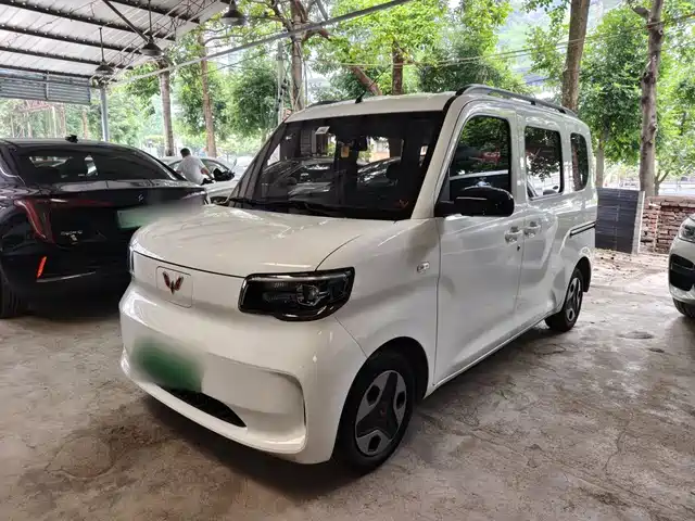 Wuling Motors Wuling Zhiguang NEV 2025 Model Comfort