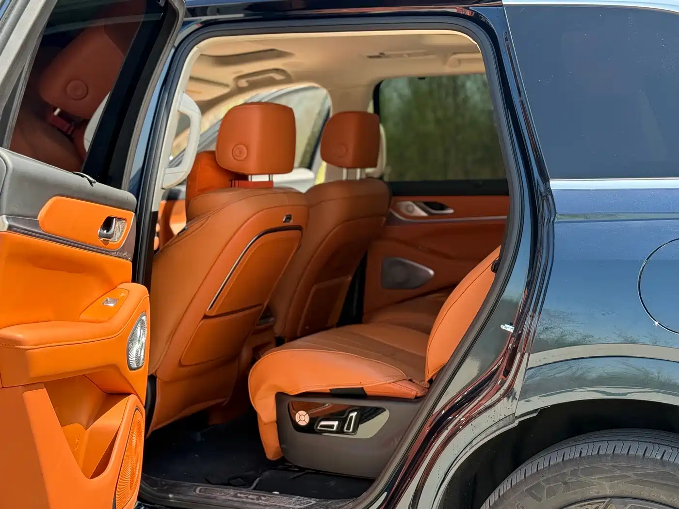 WEI PAI WEI BRAND BLUE MOUNTAIN