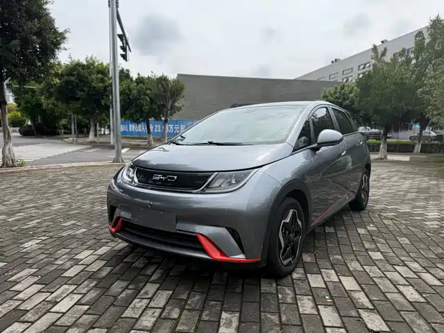 BYD DOLPHIN