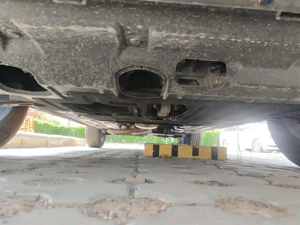 Haval Big Dog 2024 1.5T DCT Border Collie Edition фото 23