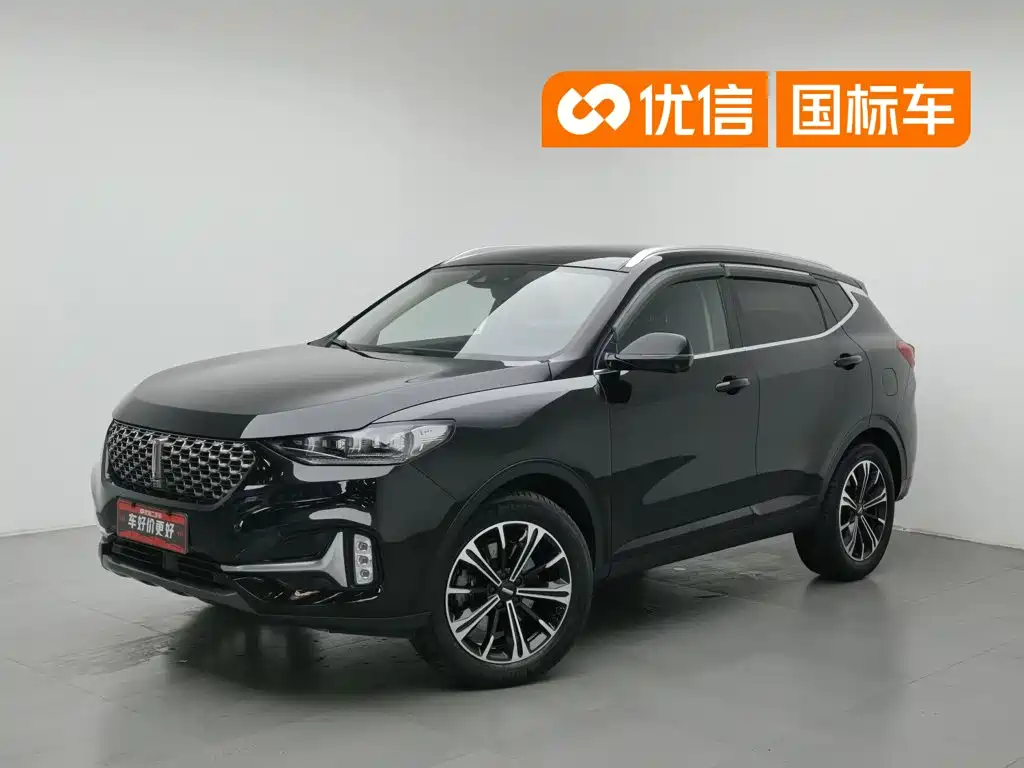 WEY VV6 2021 2021 2.0T 2WD Smart Protection+
