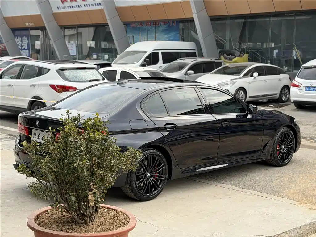 BMW 5 Series 2019 530Li Premium M Sport Package фото 19