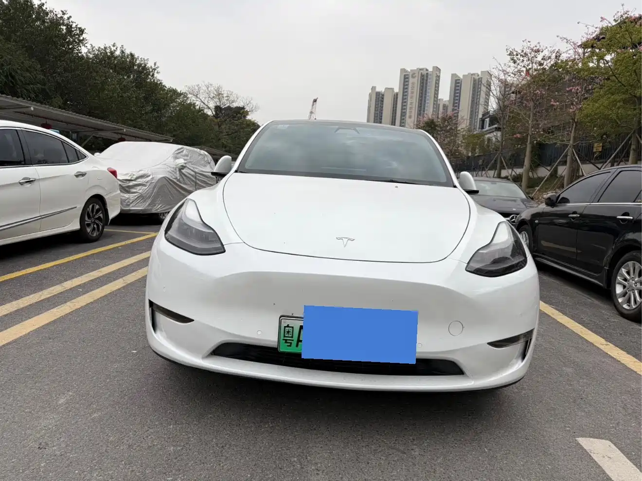 Фото 3 - Tesla Model Y