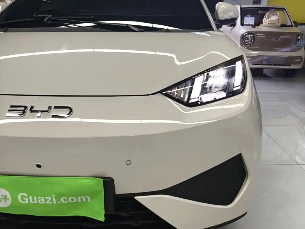 BYD Seagull 2026 2025 Smart Drive Edition 305km Freedom Version